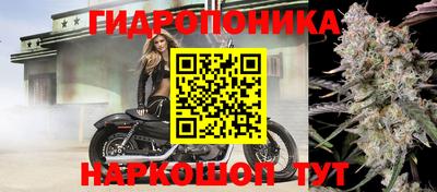 трава Краснодар