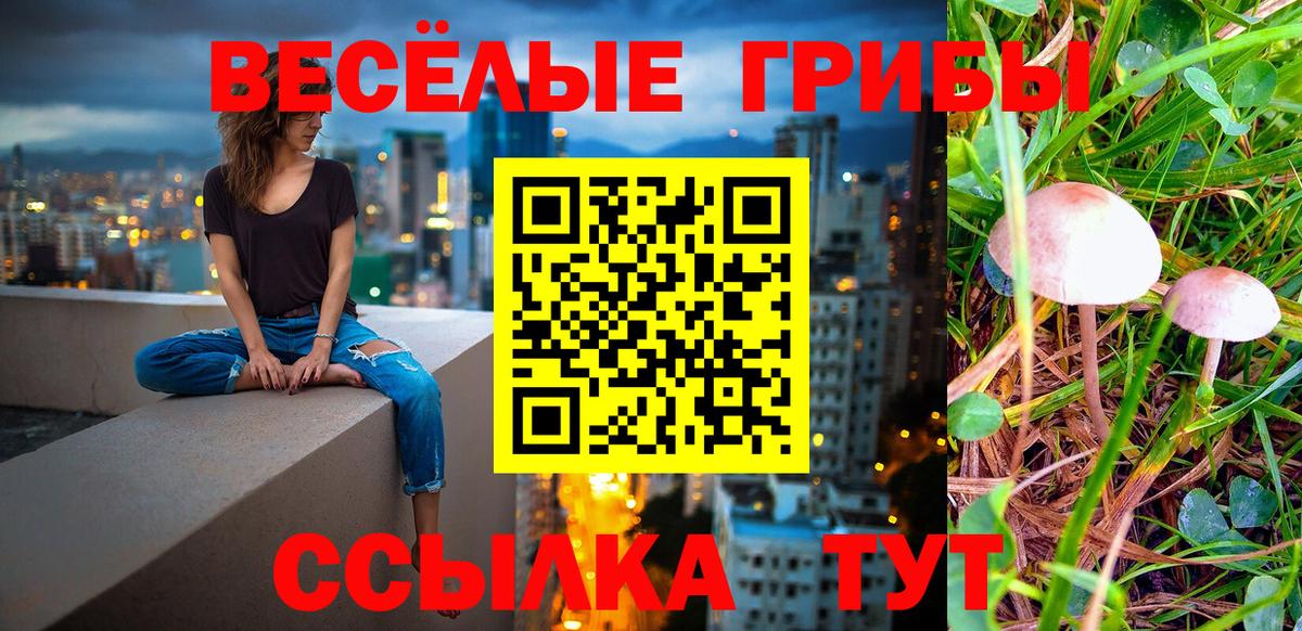 Галлюциногенные грибы ЛСД Кольчугино