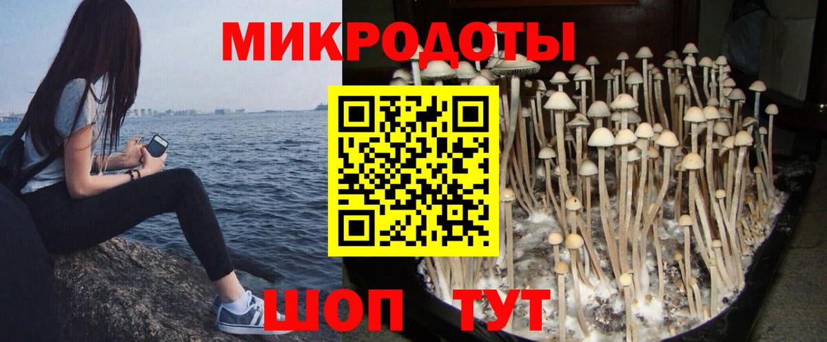 Кольчугино  Галлюциногенные грибы мицелий  Вход с VPN 